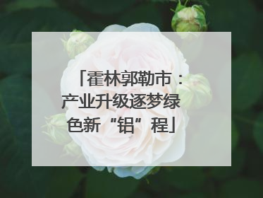 霍林郭勒市：产业升级逐梦绿色新“铝”程