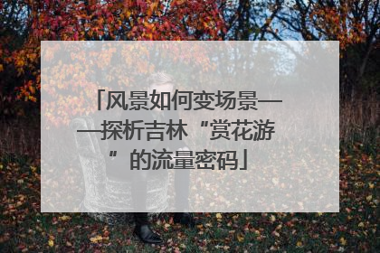 风景如何变场景——探析吉林“赏花游”的流量密码