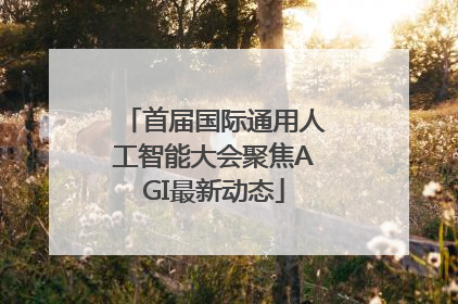 首届国际通用人工智能大会聚焦AGI最新动态