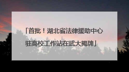首批！湖北省法律援助中心驻高校工作站在武大揭牌