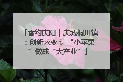 香约庆阳｜庆城桐川镇：创新求变 让“小苹果”做成“大产业”