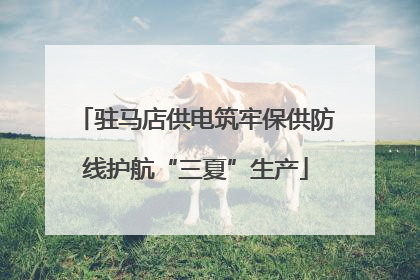 驻马店供电筑牢保供防线护航“三夏”生产
