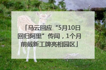 马云回应“5月10日回归阿里”传闻，1个月前戴新工牌亮相园区