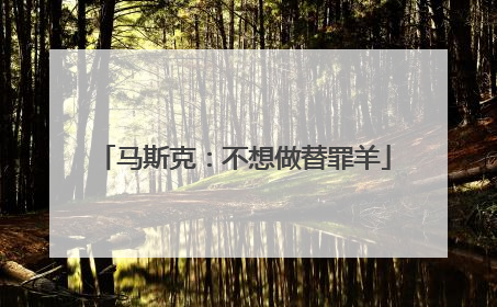 马斯克：不想做替罪羊