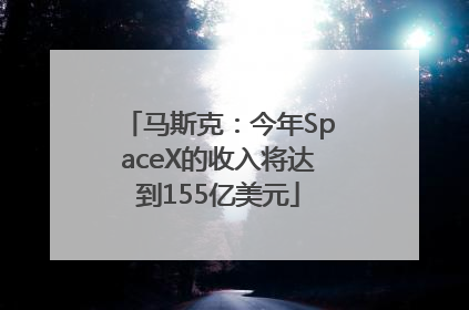 马斯克：今年SpaceX的收入将达到155亿美元