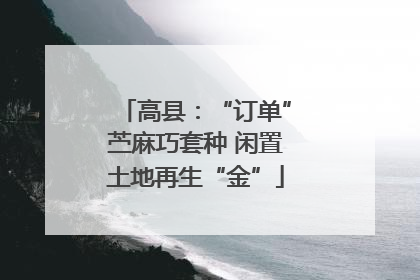 高县：“订单”苎麻巧套种 闲置土地再生“金”