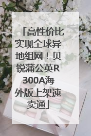 高性价比实现全球异地组网！贝锐蒲公英R300A海外版上架速卖通