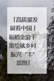 高质量发展看中国丨福稻金浪千重绘就乡村振兴“丰”景图