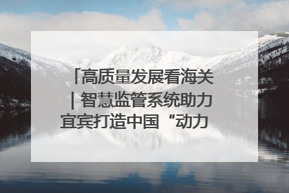 高质量发展看海关｜智慧监管系统助力宜宾打造中国“动力电池之都”