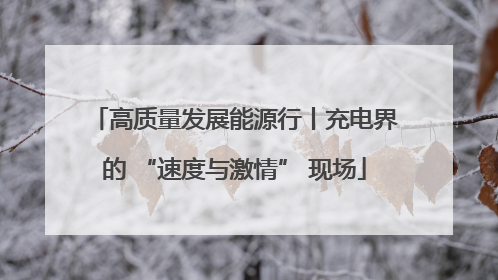 高质量发展能源行丨充电界的 “速度与激情” 现场