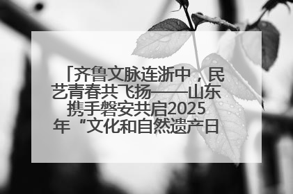 齐鲁文脉连浙中，民艺青春共飞扬——山东携手磐安共启2025年“文化和自然遗产日”系列活动
