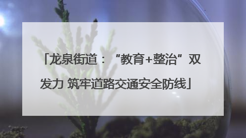 龙泉街道：“教育+整治”双发力 筑牢道路交通安全防线