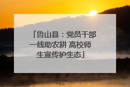 鲁山县：党员干部一线助农耕 高校师生宣传护生态
