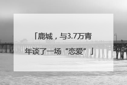 鹿城，与3.7万青年谈了一场“恋爱”