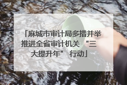 麻城市审计局多措并举推进全省审计机关 “三大提升年” 行动