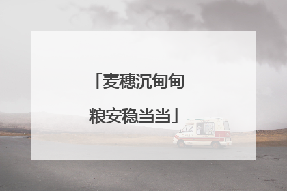 麦穗沉甸甸 粮安稳当当