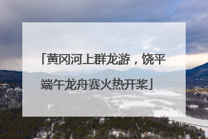 黄冈河上群龙游，饶平端午龙舟赛火热开桨