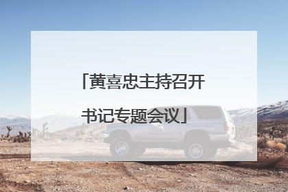 黄喜忠主持召开书记专题会议