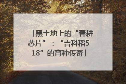 黑土地上的“春耕芯片”：“吉科稻518”的育种传奇