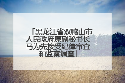 黑龙江省双鸭山市人民政府原副秘书长马为先接受纪律审查和监察调查