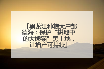 黑龙江种粮大户邹德海：保护“耕地中的大熊猫”黑土地，让增产可持续