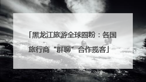 黑龙江旅游全球圈粉：各国旅行商“群聊”合作揽客