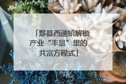 黟县西递镇解锁产业“丰景”里的共富方程式