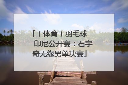 （体育）羽毛球——印尼公开赛：石宇奇无缘男单决赛