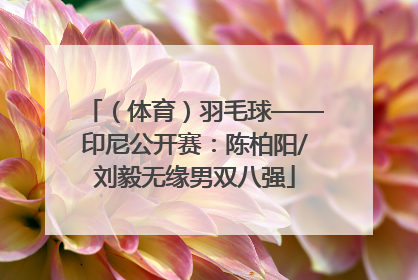 （体育）羽毛球——印尼公开赛：陈柏阳/刘毅无缘男双八强