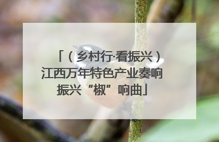（乡村行·看振兴）江西万年特色产业奏响振兴“椒”响曲