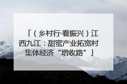 （乡村行·看振兴）江西九江：甜蜜产业拓宽村集体经济“增收路”