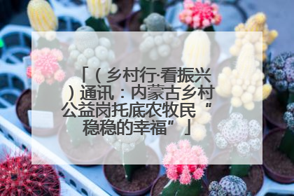 （乡村行·看振兴）通讯：内蒙古乡村公益岗托底农牧民“稳稳的幸福”