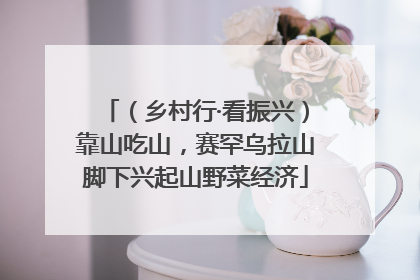 （乡村行·看振兴）靠山吃山，赛罕乌拉山脚下兴起山野菜经济