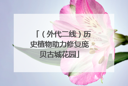 （外代二线）历史植物助力修复庞贝古城花园