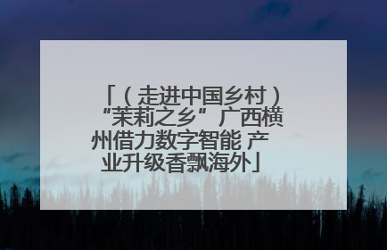 （走进中国乡村）“茉莉之乡”广西横州借力数字智能 产业升级香飘海外