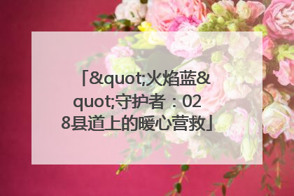 "火焰蓝"守护者：028县道上的暖心营救