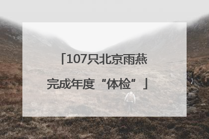 107只北京雨燕完成年度“体检”