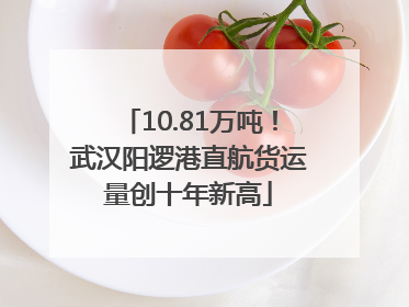 10.81万吨！武汉阳逻港直航货运量创十年新高