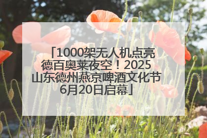 1000架无人机点亮德百奥莱夜空！2025山东德州燕京啤酒文化节6月20日启幕