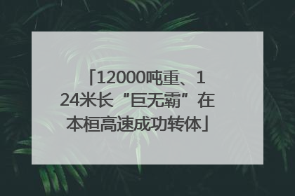 12000吨重、124米长“巨无霸”在本桓高速成功转体