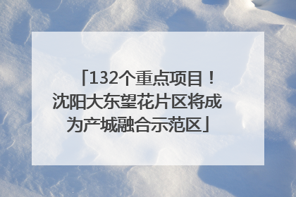 132个重点项目！沈阳大东望花片区将成为产城融合示范区
