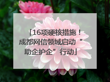 16项硬核措施！成都网信领域启动“助企护企”行动
