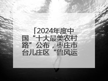 2024年度中国“十大最美农村路”公布，枣庄市台儿庄区“鲁风运河”古城文化廊道上榜！