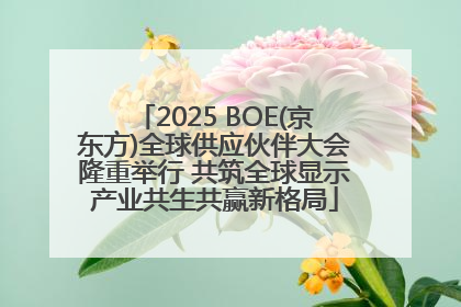 2025 BOE(京东方)全球供应伙伴大会隆重举行 共筑全球显示产业共生共赢新格局
