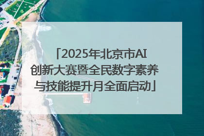 2025年北京市AI创新大赛暨全民数字素养与技能提升月全面启动