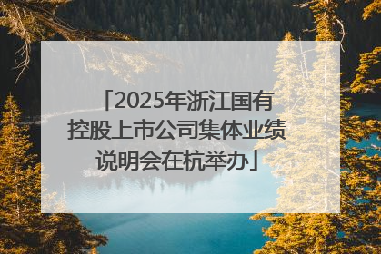 2025年浙江国有控股上市公司集体业绩说明会在杭举办