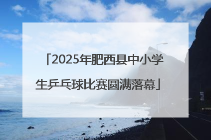 2025年肥西县中小学生乒乓球比赛圆满落幕