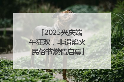 2025兴庆端午狂欢，非遗焰火民俗节燃情启幕