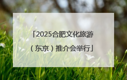 2025合肥文化旅游（东京）推介会举行