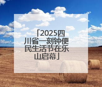 2025四川省一刻钟便民生活节在乐山启幕